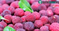 Ảnh Loại quả đặc biệt tồn tại hơn 3.000 năm, không chỉ ngon miệng còn đẹp da