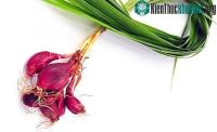 Ảnh Loại tỏi được gọi là sâm có nhiều ở Việt Nam, là thuốc bổ máu, tốt cho xương khớp