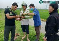 Ảnh Kỹ sư có thể "hô biến" hạt giống nảy mầm siêu tốc
