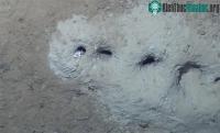 Ảnh Tìm được thủ phạm tạo hố bí ẩn ở đáy biển giữa Nga và Alaska