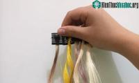 Ảnh Nữ sinh sáng chế ra tóc giả từ lá cây lưỡi hổ