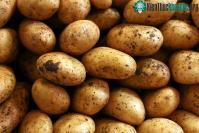 Ảnh Mặt trái của 5 loại rau củ vốn nổi tiếng là thực phẩm "siêu lành mạnh"