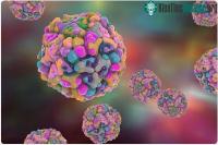 Ảnh Virus gây ra bệnh tay chân miệng nặng xuất hiện