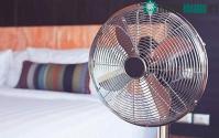 Ảnh Mẹo dùng quạt vừa giúp bạn ngủ ngon vừa tiết kiệm điện