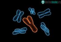 Ảnh NST Y biến mất dần, dự báo đàn ông có gene giới tính mới