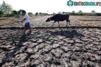 Ảnh Thế giới chuẩn bị trải qua đợt nắng nóng kỷ lục, kèm theo những cơn bão