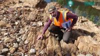Ảnh Phát hiện dấu vết "những kẻ săn mồi" đầu tiên trên Trái đất tại Australia