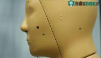Ảnh Gặp gỡ robot biết "đổ mồ hôi", đo lường các tác động của biến đổi khí hậu