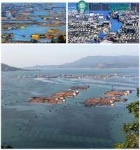 Ảnh "Ngôi làng trên biển" tại Trung Quốc: Nhà cửa nổi lênh đênh, cuộc sống tiện nghi không thua gì đất liền