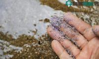 Ảnh Vi nhựa độc hại tích tụ ở đâu trong cơ thể người?