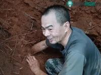 Ảnh Lão nông đào được Quả bóng màu đen, không ngờ giá trị rất lớn