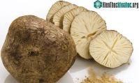 Ảnh Loại củ dại mọc nhiều ở Việt Nam tốt cho phụ nữ trung niên