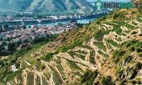 Ảnh Trận mưa lớn năm 2019 gây động đất trong lịch sử Pháp
