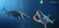 Ảnh Ai được xem là kẻ thắng trận chiến giữa cá mập Megalodon và thằn lằn Mosasaurus?