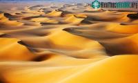 Ảnh Quá trình chuyển Sahara từ rừng rậm thành sa mạc