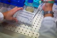 Ảnh Những nhà khoa học điều chế vaccine cho bệnh X bí ẩn
