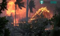 Ảnh Nhiều nguy cơ rình rập người dân Hawaii sau bão lửa