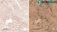 Ảnh NASA phát hiện "tổ ong" có thể là nơi sinh vật ngoài hành tinh ra đời