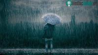 Ảnh Khoa học lý giải vì sao Thất tịch thường có mưa