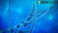 Ảnh Bí ẩn về prion ẩn trên nhiễm sắc thể thứ 20 của con người