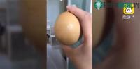 Ảnh Làm thịt gà mái 5 năm không đẻ, chủ kinh ngạc phát hiện "báu vật"