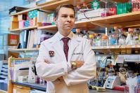 Ảnh Chuyên gia đại học Y Harvard tiết lộ cách trẻ ra 10 tuổi bằng loại đồ uống quen thuộc của người Việt