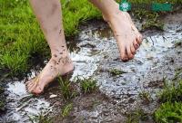 Ảnh Những biện pháp ngăn ngừa bị nhiễm giun sán ký sinh