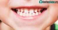 Ảnh Nghiên cứu loại thuốc giúp răng mọc lại nhiều lần