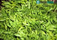 Ảnh Một nắm hoa này chính là "liều thuốc an thần" cực tốt, nhiều gia đình có sẵn nhưng không biết công dụng