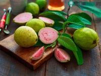 Ảnh Quả ổi: ngon và giàu dinh dưỡng nhưng lại không tốt với 3 nhóm người sau