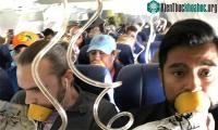Ảnh Mặt nạ dưỡng khí trên máy bay chỉ đủ dùng cho 15 phút - liệu có đủ dùng?