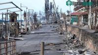 Ảnh Nhiều cây sống sót sau vụ cháy rừng tàn khốc ở Hawaii không phải là bất thường