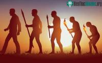 Ảnh Nghiên cứu mới giúp cho việc mở rộng thuyết tiến hóa của Darwin