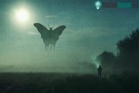 Ảnh Mothman: Truyền thuyết đô thị hay sinh vật chưa được biết tới?