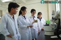 Ảnh Lotus Sleep là tấm phim ngậm giúp ngủ ngon