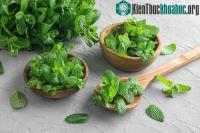 Ảnh Tía tô đất: Loại thảo dược giá rẻ cho những ngày giao mùa