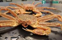 Ảnh Hàng tỷ con cua Alaska quý giá biến mất một cách bí ẩn
