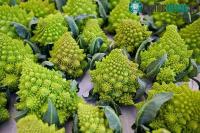 Ảnh Loại rau được xem "như tác phẩm nghệ thuật", vừa bổ tim vừa chống ung thư tự nhiên