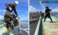 Ảnh Nước biển ấm lên đang đe dọa món sushi của Nhật