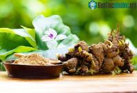 Ảnh Nghiên cứu đột phá từ Nhật: Loại củ cực phổ biến tại Việt Nam có tác dụng ngăn ngừa ung thư