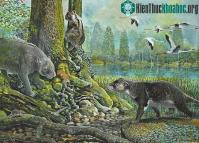 Ảnh Australia phát hiện ra loài gấu túi thời tiền sử
