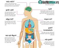 Ảnh Top 8 bộ phận trên cơ thể bị thức ăn nhanh "bào mòn"