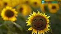 Ảnh Khám phá độ tuổi con người cảm thấy hạnh phúc nhất