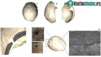 Ảnh Đào được "kho báu" với 7.000 năm rùng rợn nhất thế giới trong hang động ở Tây Ban Nha
