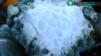 Ảnh NASA nhận định: "Vật lạ" dưới biển hé lộ manh mối sự sống ngoài Trái đất