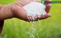 Ảnh Phương pháp mới hứa hẹn các bước tiến trong sản xuất ure