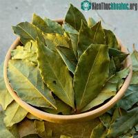 Ảnh Top 8 lợi ích thần kỳ với sức khỏe của lá nguyệt quế