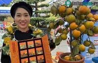 Ảnh Startup Việt khát vọng đưa hồng vành khuyên treo gió hữu cơ ra thế giới
