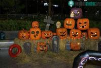 Ảnh Khám phá bên trong hang động địa ngục ở Ireland, nơi khai sinh Halloween