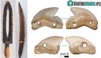 Ảnh Phát hiện cổ vật 7.000 năm "độc đáo và chết người" ở Indonesia